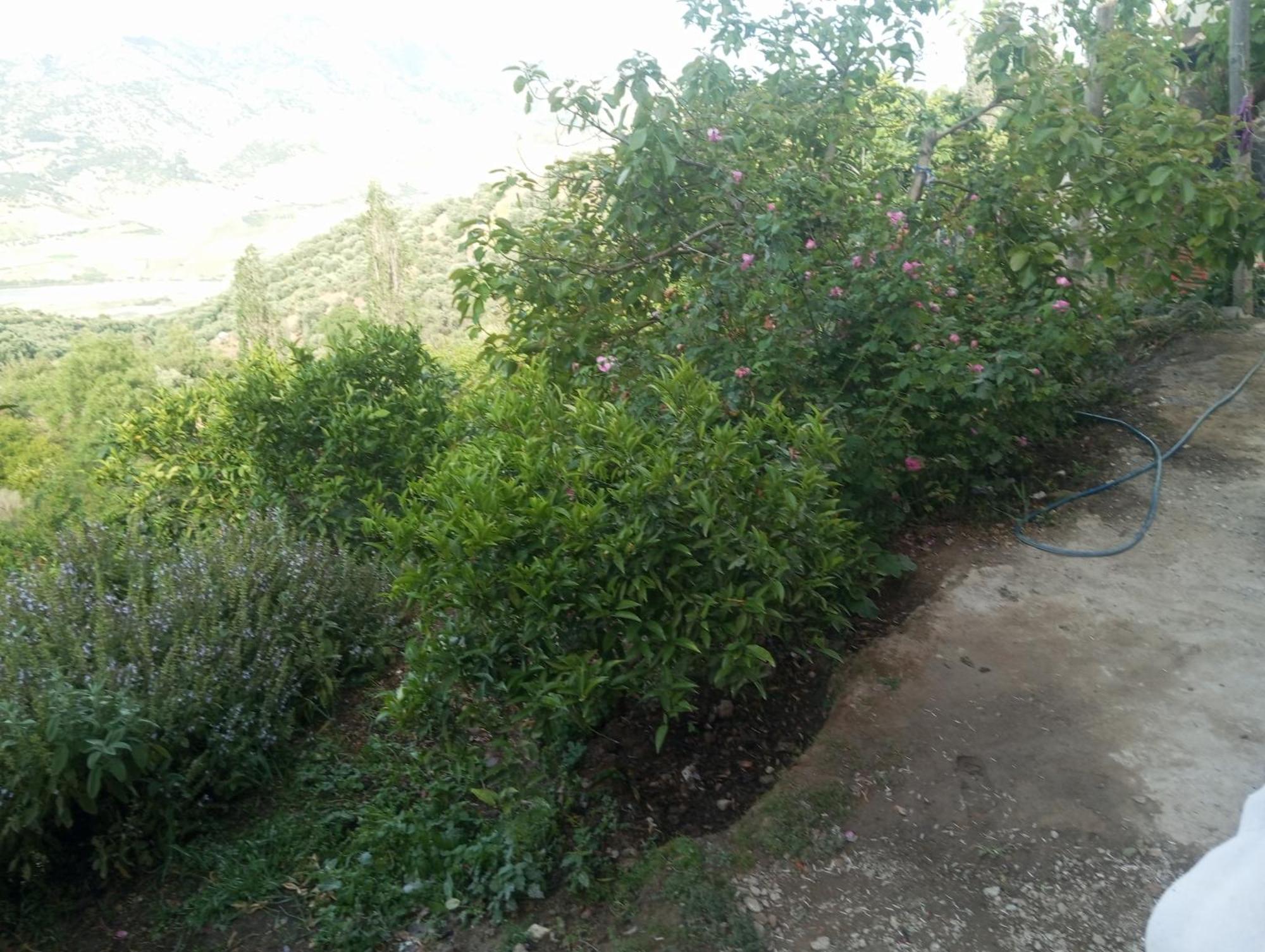 Dar Lala Zhour Douar Ain Bouchrik Exterior foto
